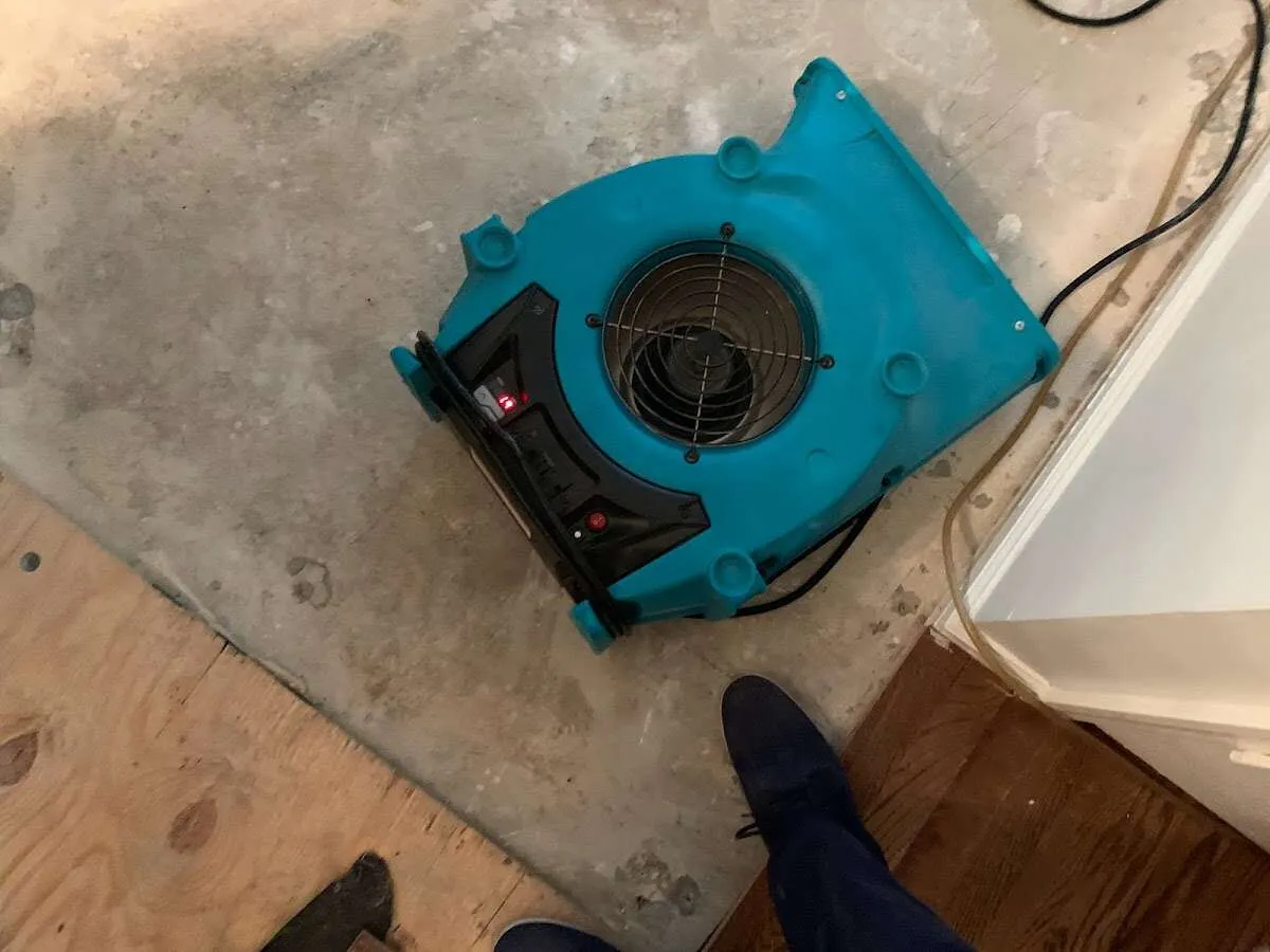 Air mover drying subfloor during Commercial Water Damage Restoration in Lindstrom